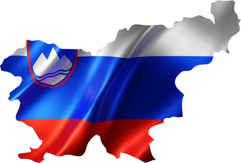 Slovenian Flag